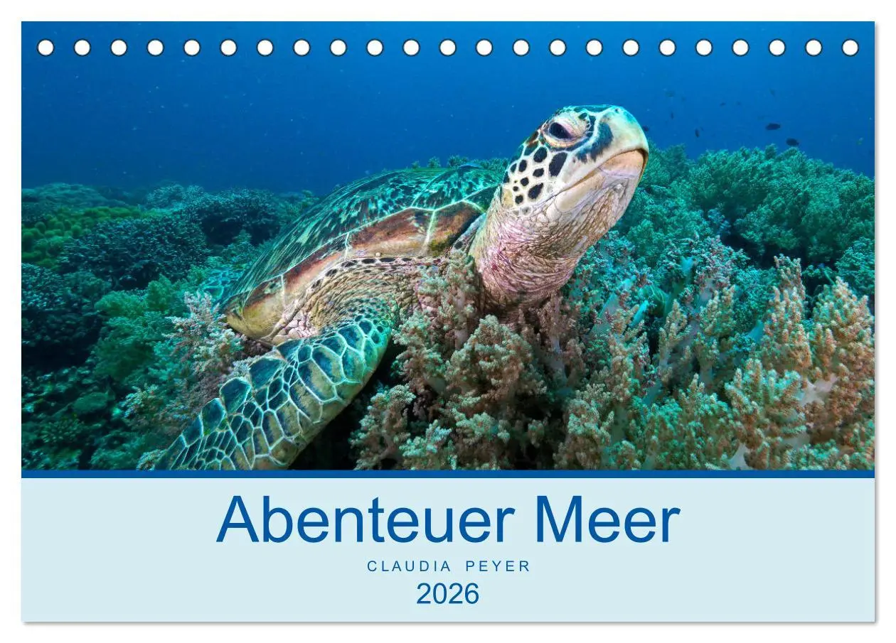 Cover: 9783457774809 | Abenteuer Unterwasser (Tischkalender 2026 DIN A5 quer), CALVENDO...