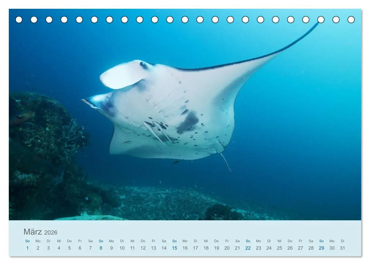 Bild: 9783457774809 | Abenteuer Unterwasser (Tischkalender 2026 DIN A5 quer), CALVENDO...