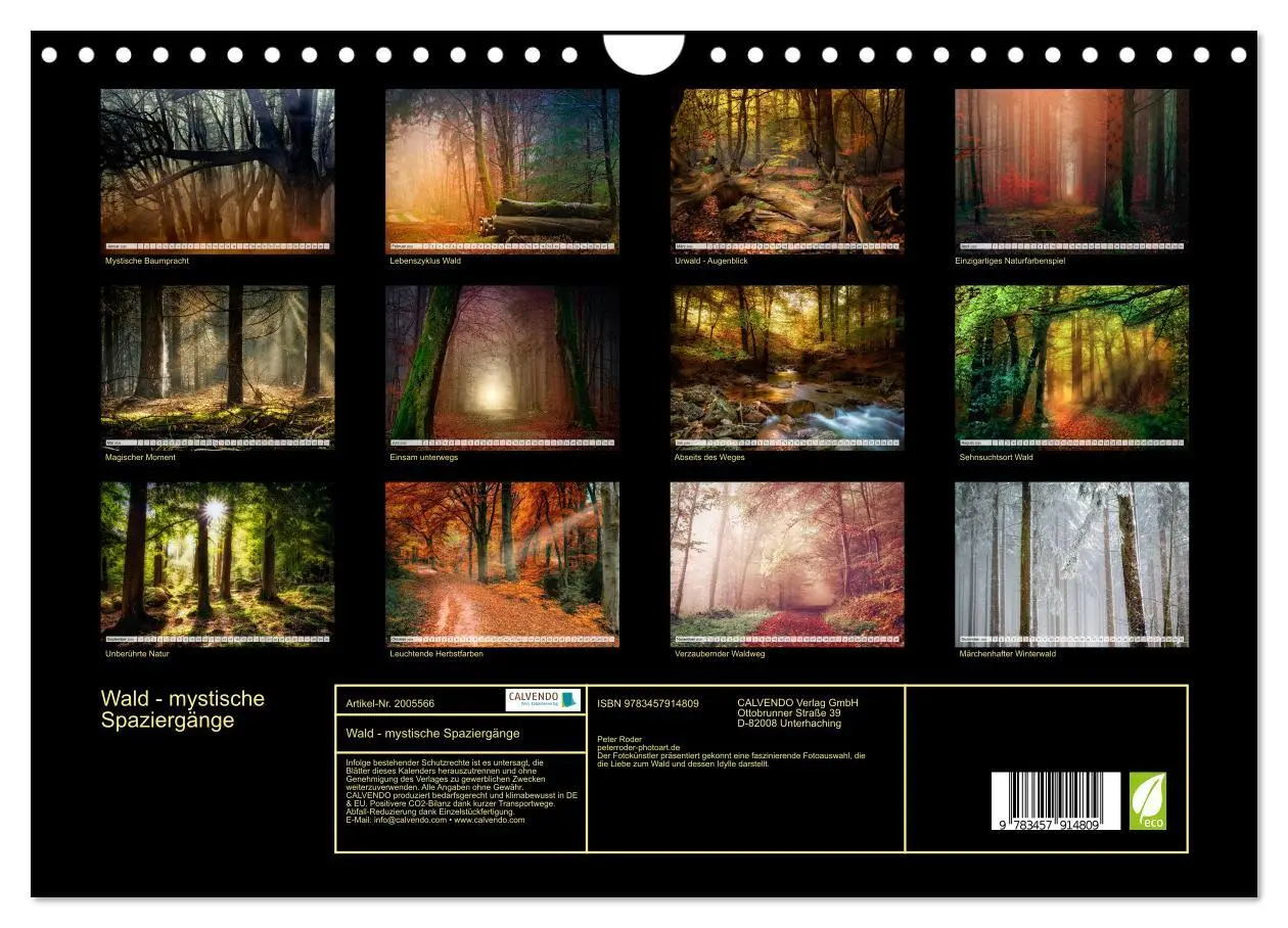 Bild: 9783457914809 | Wald - mystische Spaziergänge (Wandkalender 2026 DIN A4 quer),...