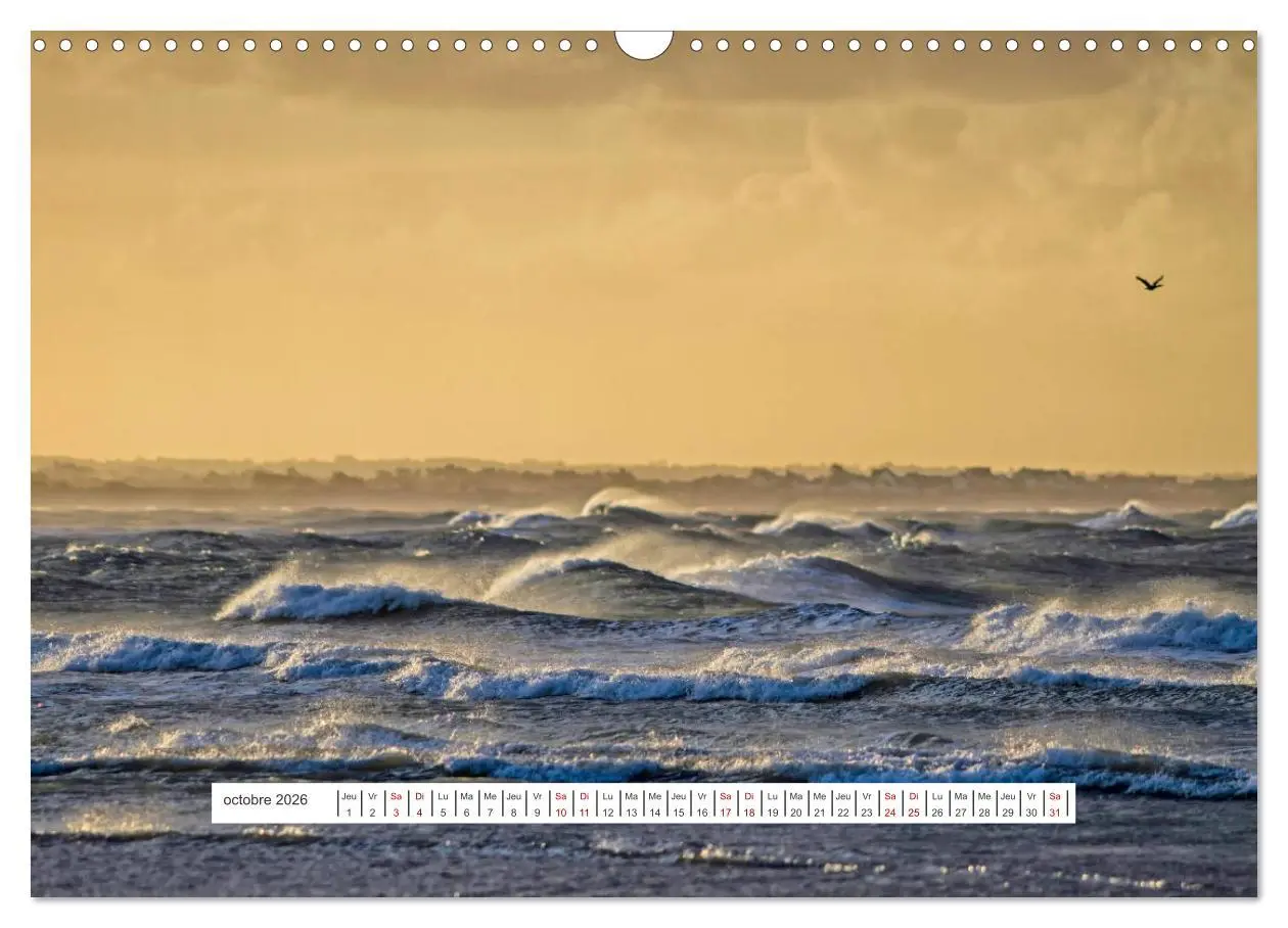 Bild: 9783516554809 | J'adore Le Cotentin (Calendrier mural 2026 DIN A3 vertical),...