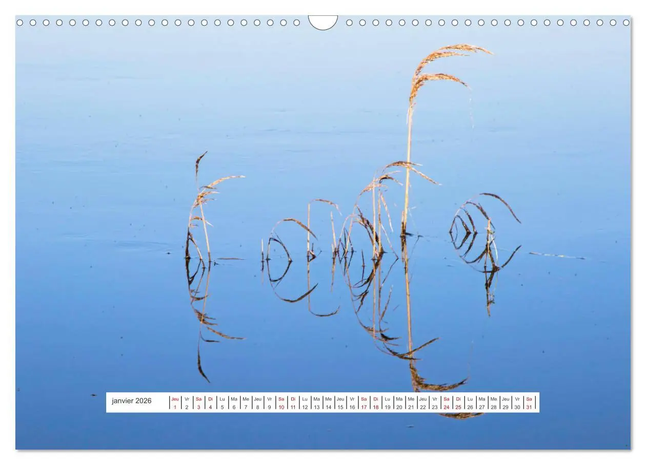 Bild: 9783516554809 | J'adore Le Cotentin (Calendrier mural 2026 DIN A3 vertical),...