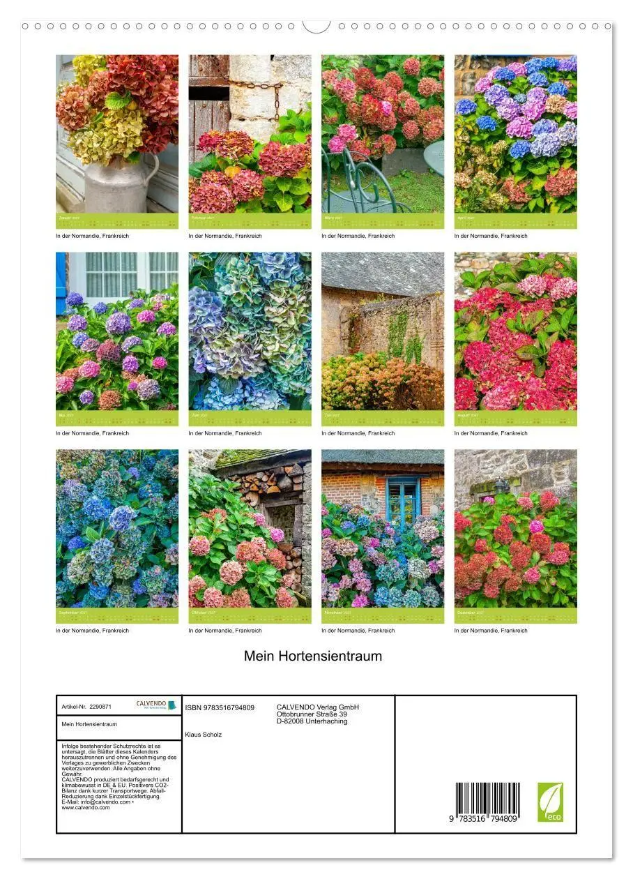 Bild: 9783516794809 | Mein Hortensientraum (hochwertiger Premium Wandkalender 2027 DIN A2...