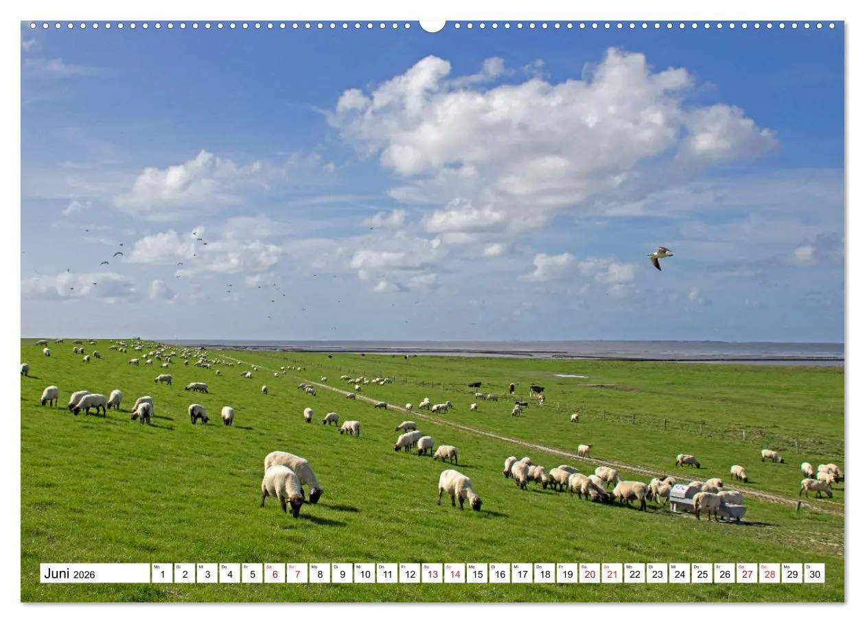 Bild: 9783457454909 | GREETSIEL - Schafe - Krabbenkutter - Möwen (hochwertiger Premium...