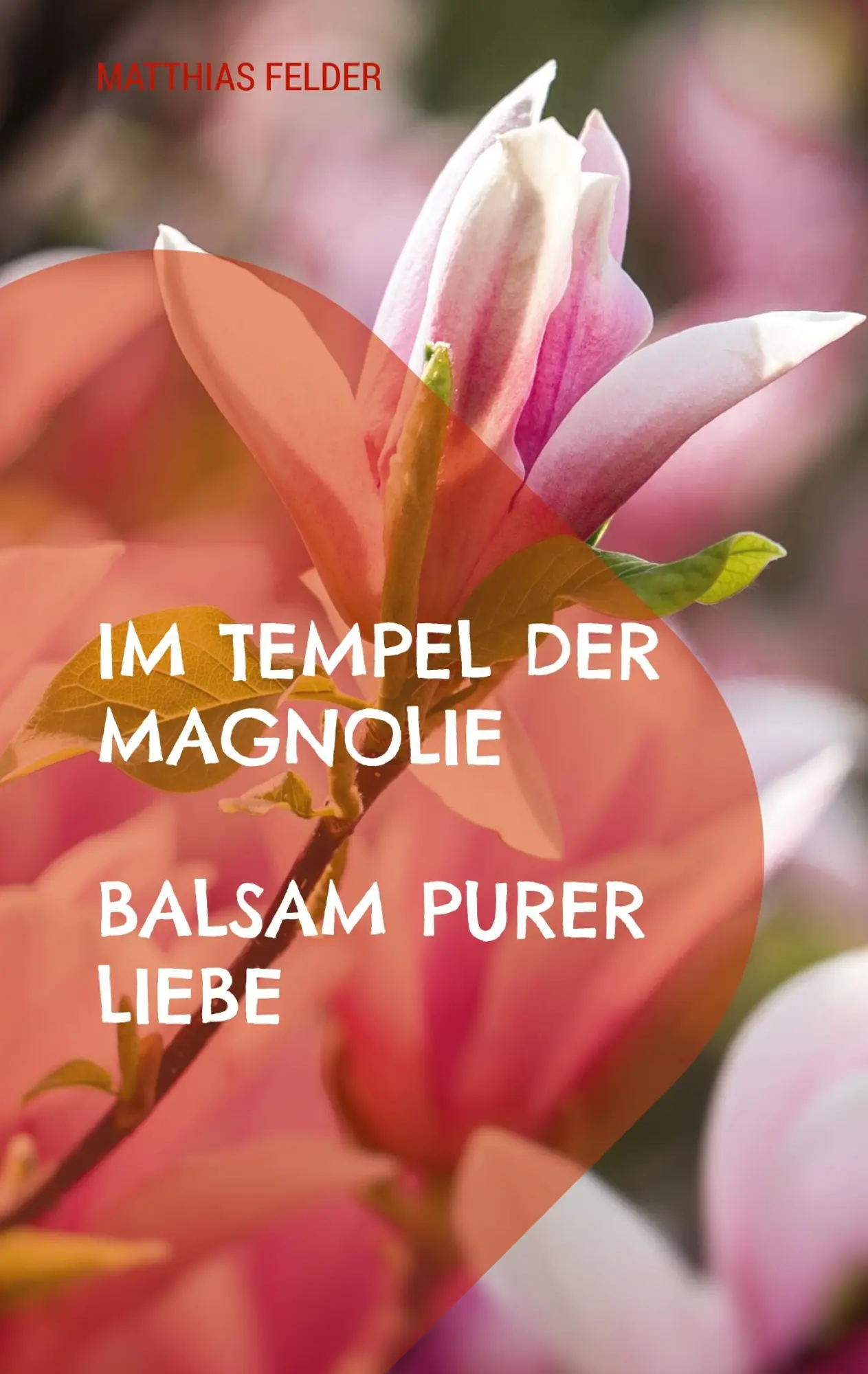 Cover: 9783696354909 | Im Tempel der Magnolie | Balsam purer Liebe | Matthias Felder | Buch