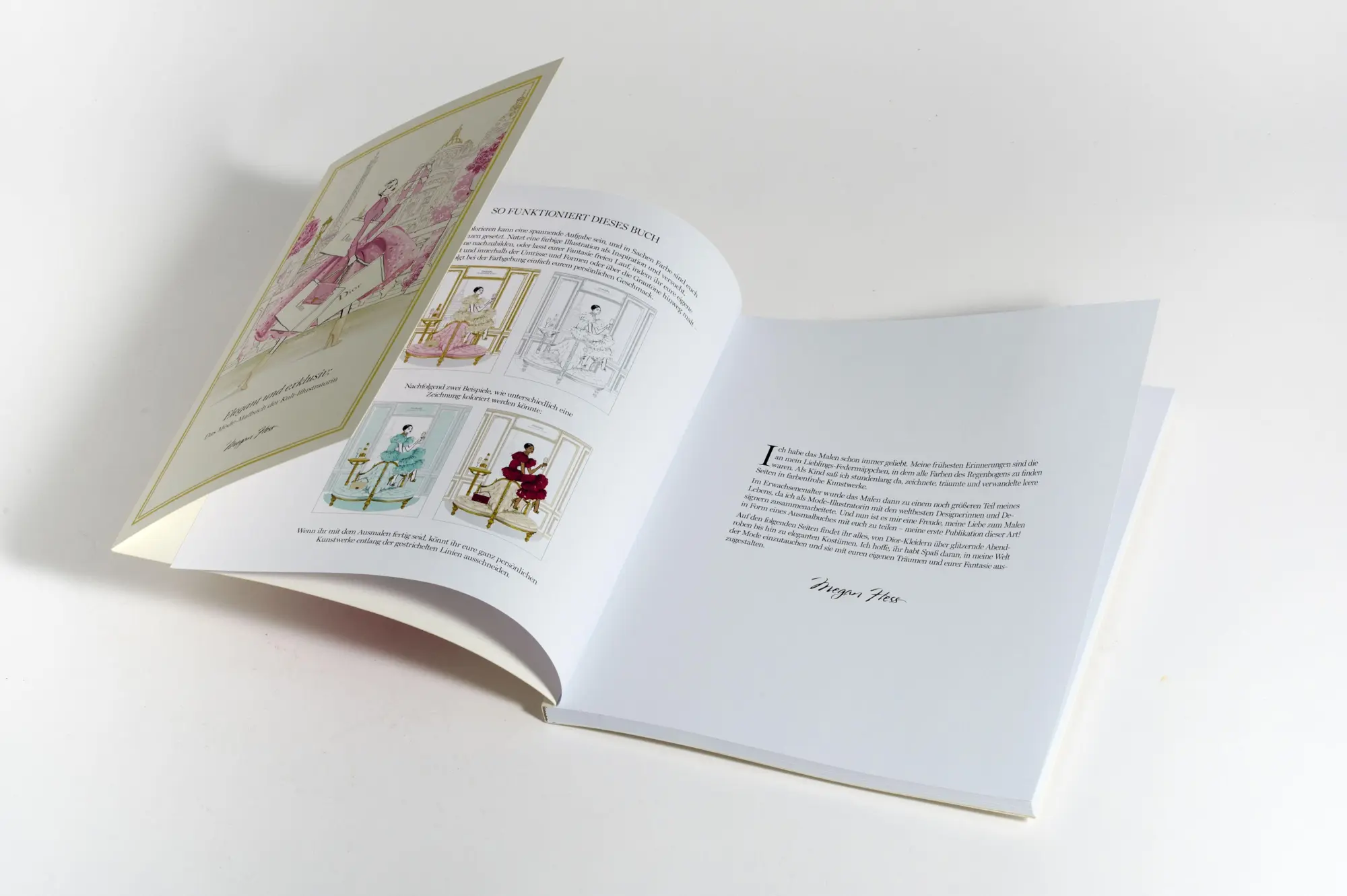 Bild: 9783791394909 | Die Welt der Mode - Das Colouring Book | Megan Hess | Buch | 96 S.