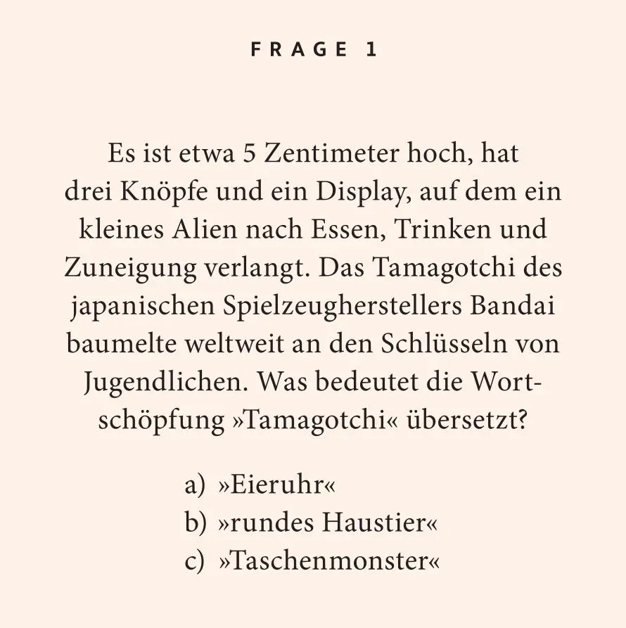 Bild: 9783899784909 | 90er-Jahre-Quiz | 100 Fragen und Antworten | Anna Hoffmann | Buch