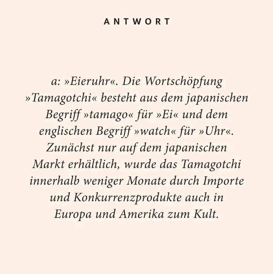 Bild: 9783899784909 | 90er-Jahre-Quiz | 100 Fragen und Antworten | Anna Hoffmann | Buch