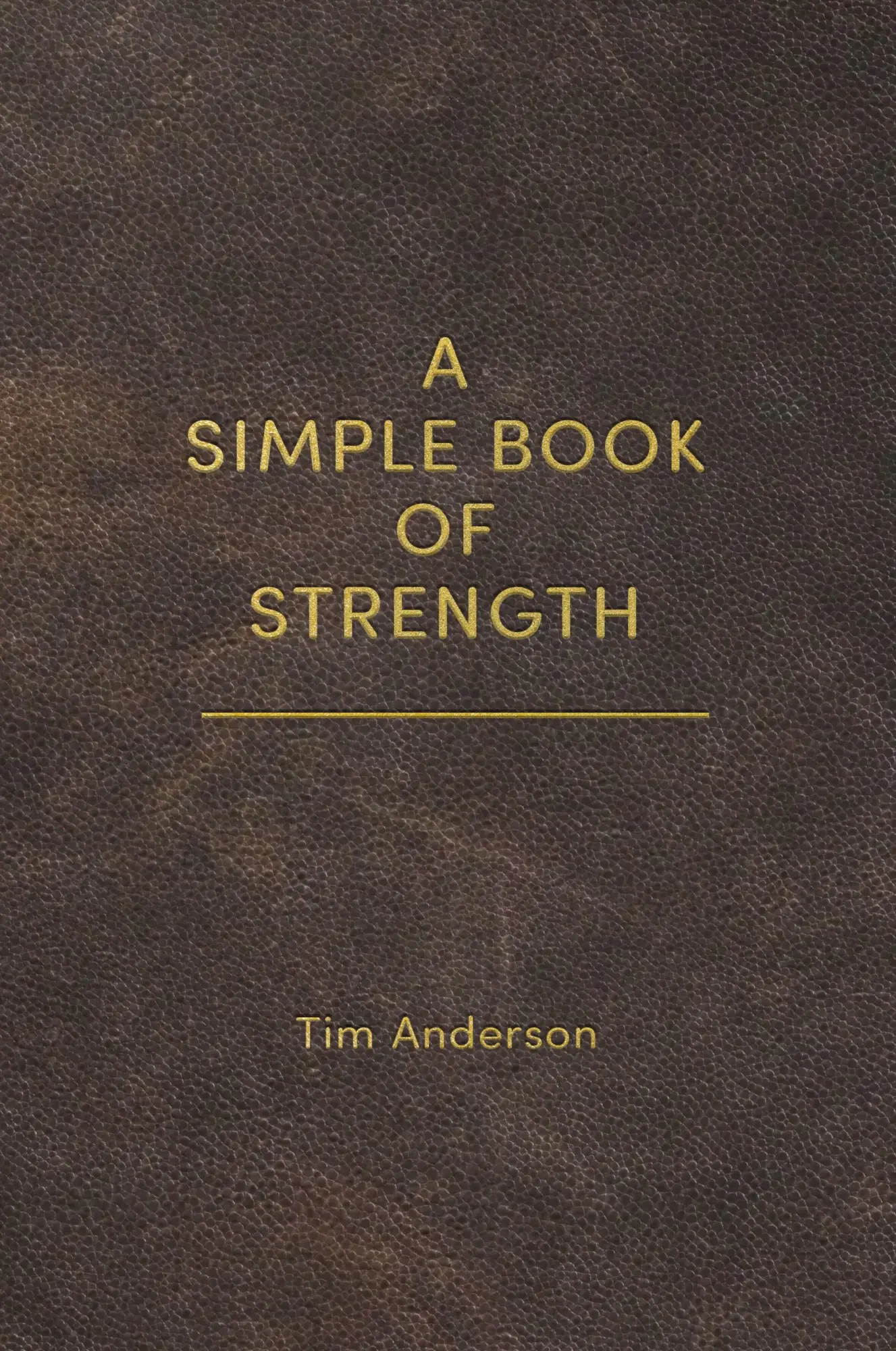 Cover: 9781963675009 | A Simple Book of Strength | Tim Anderson | Taschenbuch | Englisch