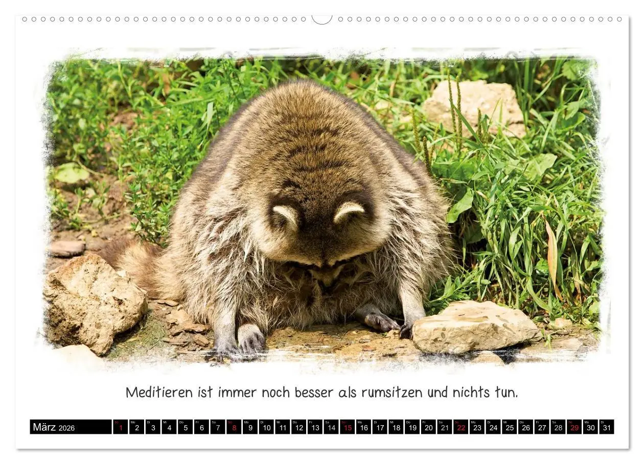 Bild: 9783516055009 | Tierisch witzig (hochwertiger Premium Wandkalender 2026 DIN A2...