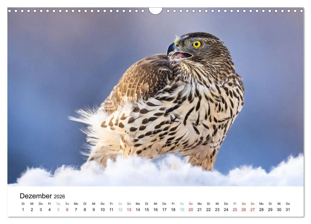 Bild: 9783516665109 | Tierwelt Skandinaviens (Wandkalender 2026 DIN A3 quer), CALVENDO...