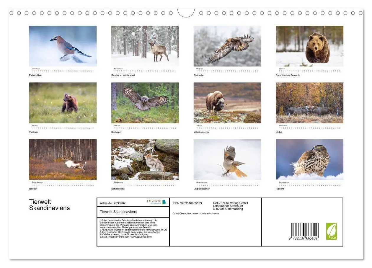 Bild: 9783516665109 | Tierwelt Skandinaviens (Wandkalender 2026 DIN A3 quer), CALVENDO...