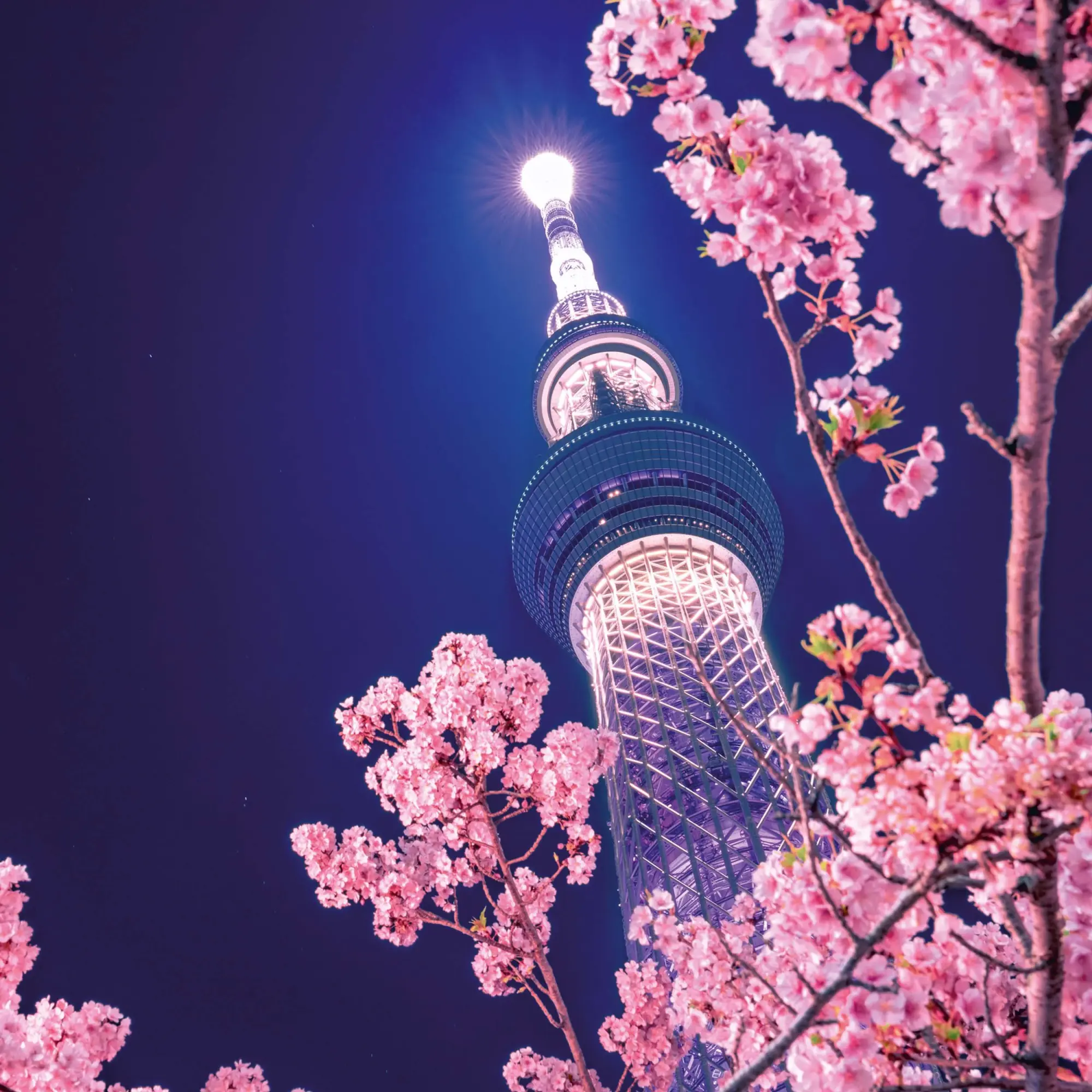 Bild: 9783959295109 | Inside Japan 2026 | Kalender 2026 | Kalender | Mindful editions | 2026