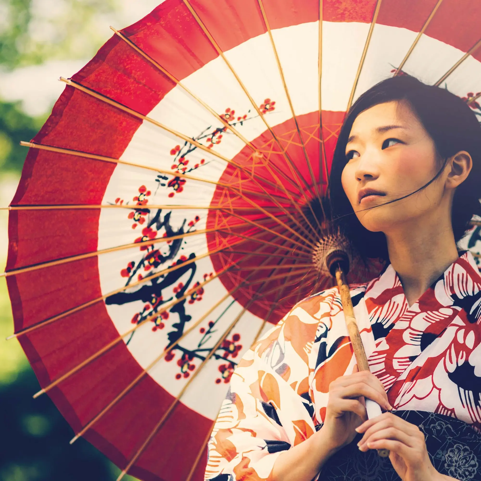 Bild: 9783959295109 | Inside Japan 2026 | Kalender 2026 | Kalender | Mindful editions | 2026