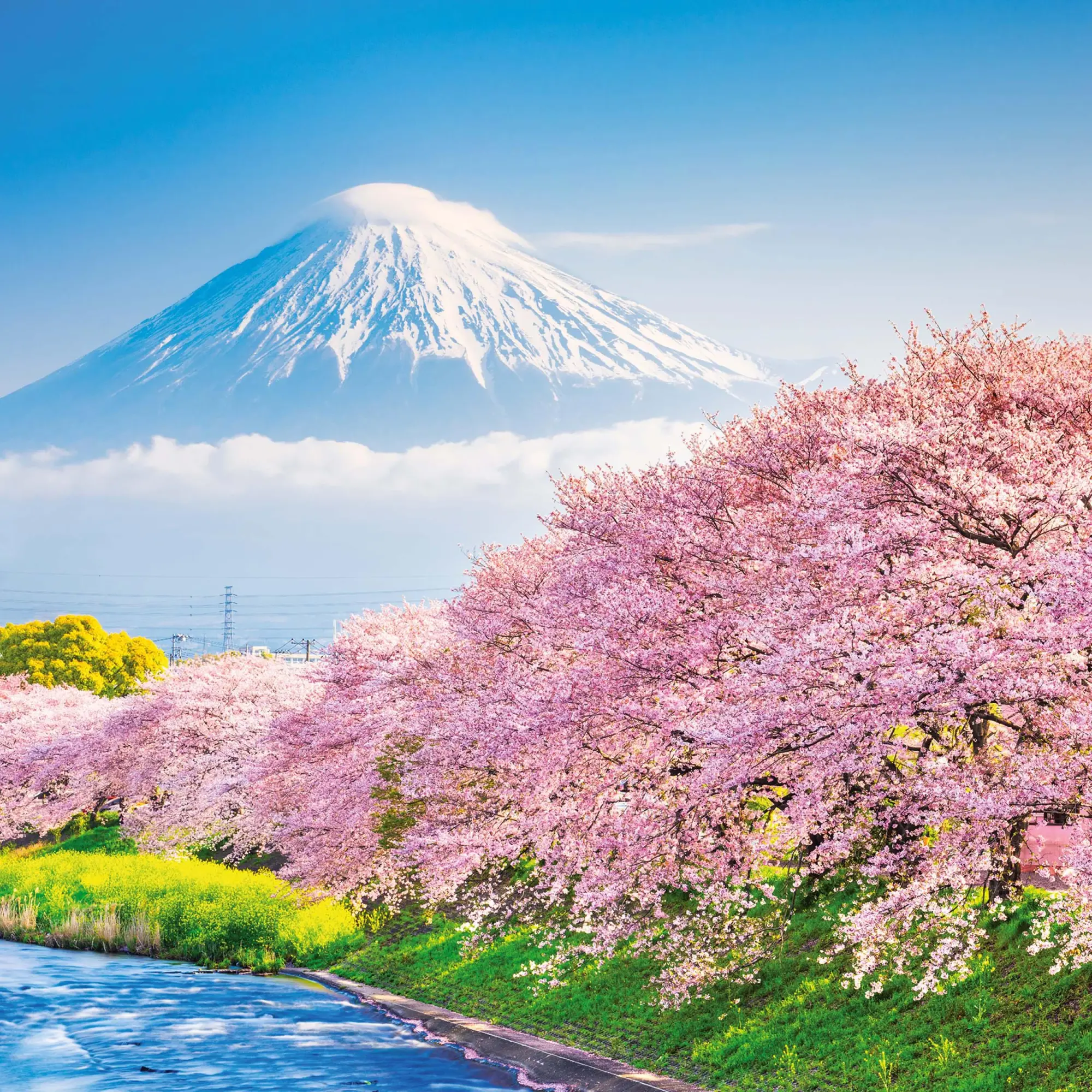Bild: 9783959295109 | Inside Japan 2026 | Kalender 2026 | Kalender | Mindful editions | 2026