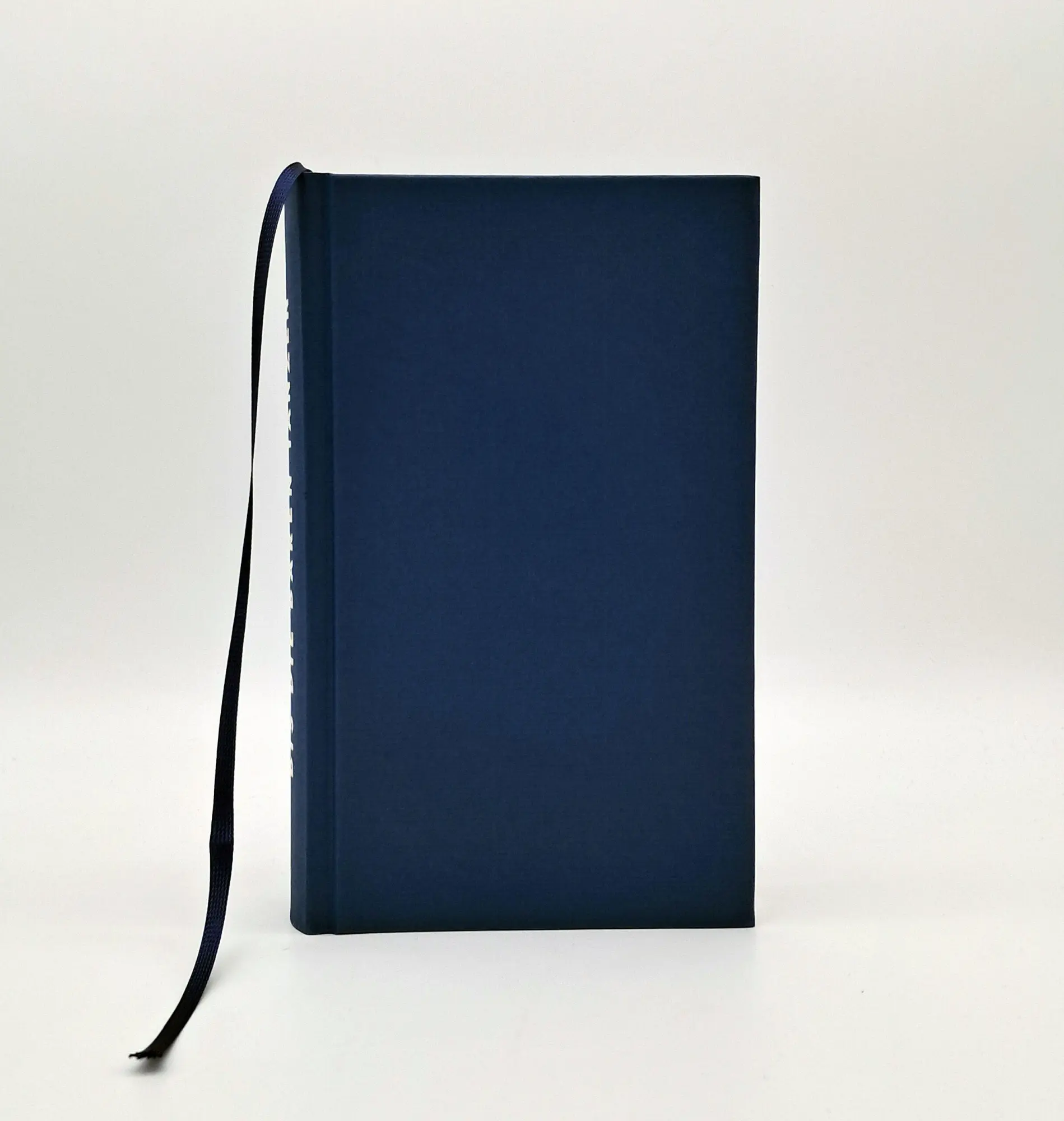 Bild: 9783423285209 | Bis die Bären tanzen | Michael Hugentobler | Buch | 352 S. | Deutsch