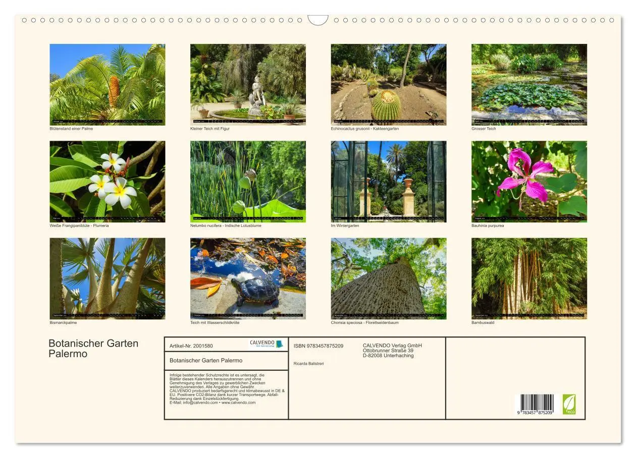 Bild: 9783457875209 | Botanischer Garten Palermo (Wandkalender 2026 DIN A2 quer),...