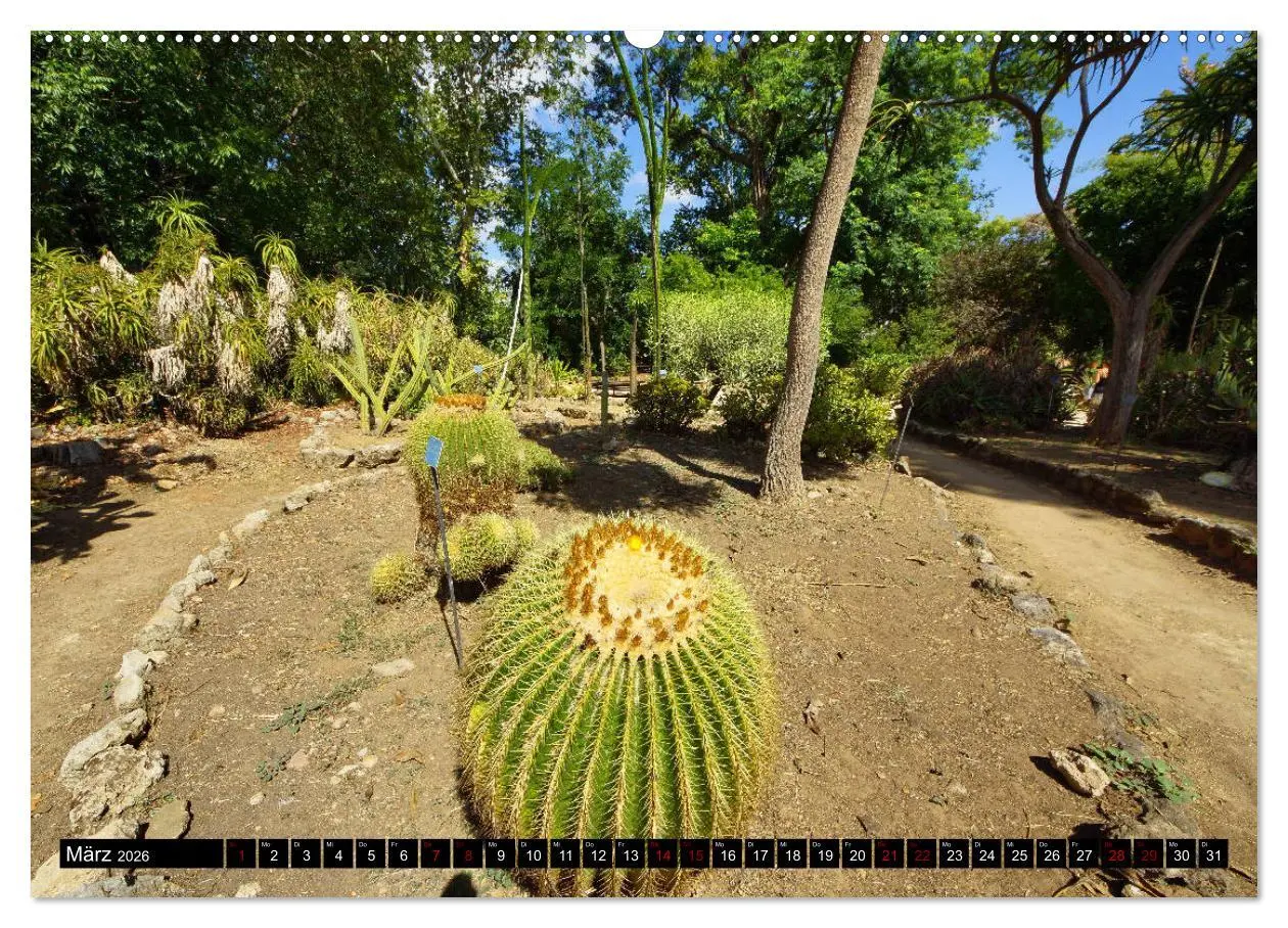 Bild: 9783457875209 | Botanischer Garten Palermo (Wandkalender 2026 DIN A2 quer),...