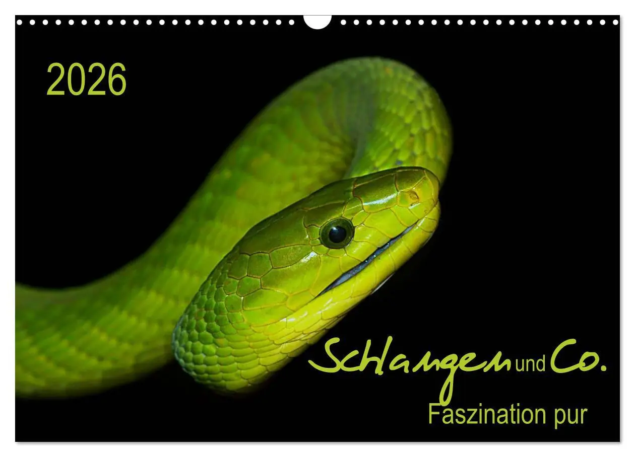 Cover: 9783516035209 | Schlangen und Co. - Faszination pur (Wandkalender 2026 DIN A3...