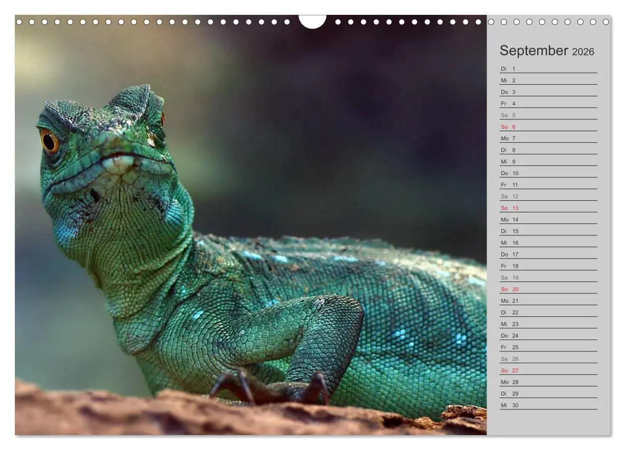 Bild: 9783516035209 | Schlangen und Co. - Faszination pur (Wandkalender 2026 DIN A3...