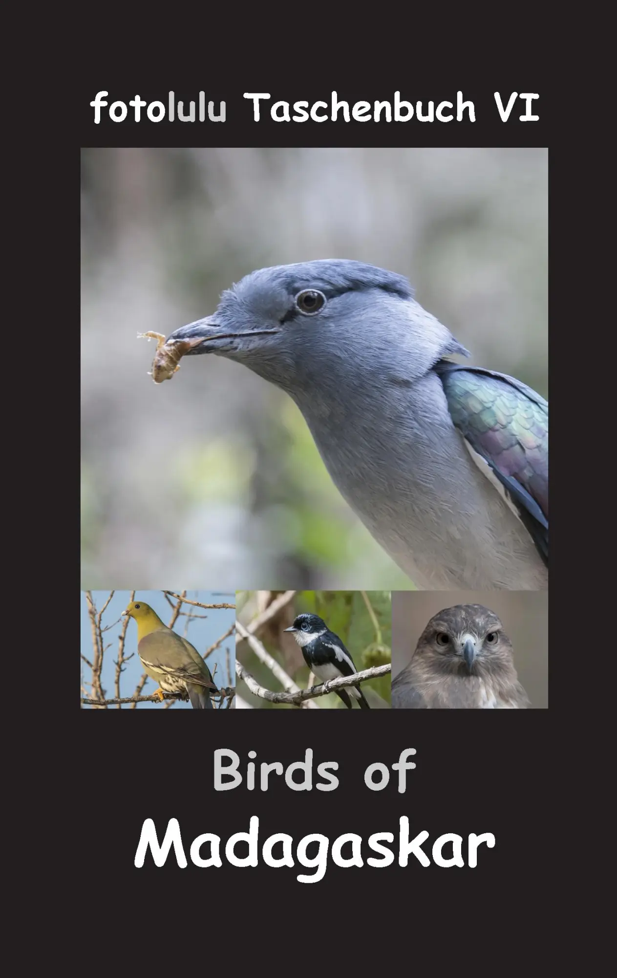 Cover: 9783743125209 | Birds of Madagaskar | Fotolulu | Taschenbuch | 56 S. | Deutsch | 2017