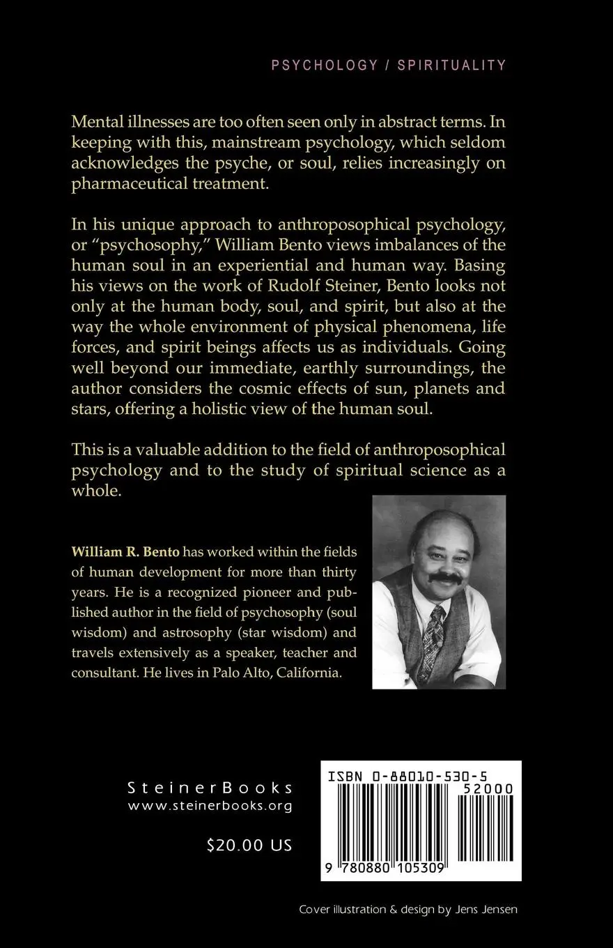 Rückseite: 9780880105309 | Lifting the Veil of Mental Illness | William Bento | Taschenbuch