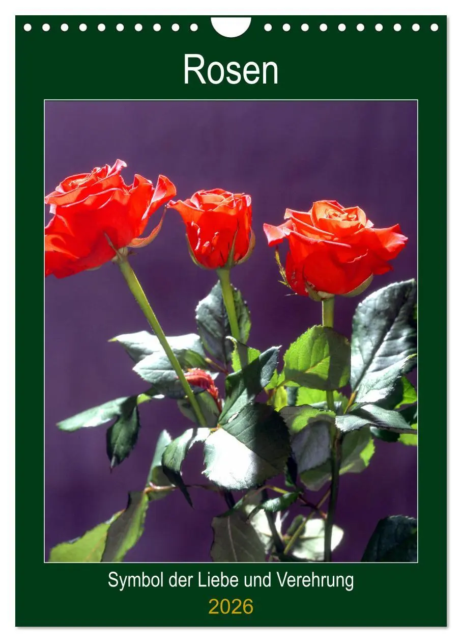 Cover: 9783516405309 | Rosen - Symbol der Liebe und Verehrung (Wandkalender 2026 DIN A4...