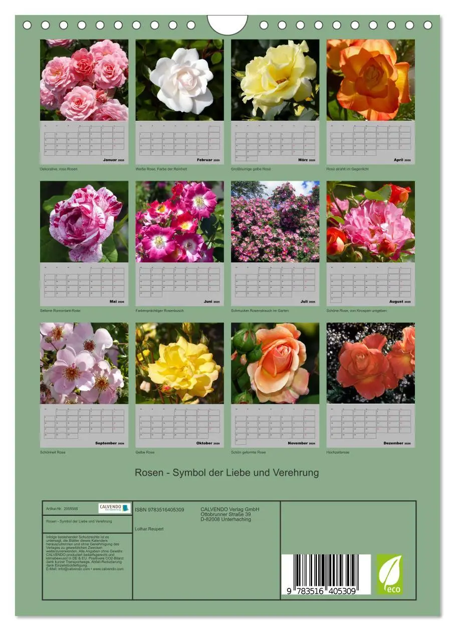 Bild: 9783516405309 | Rosen - Symbol der Liebe und Verehrung (Wandkalender 2026 DIN A4...