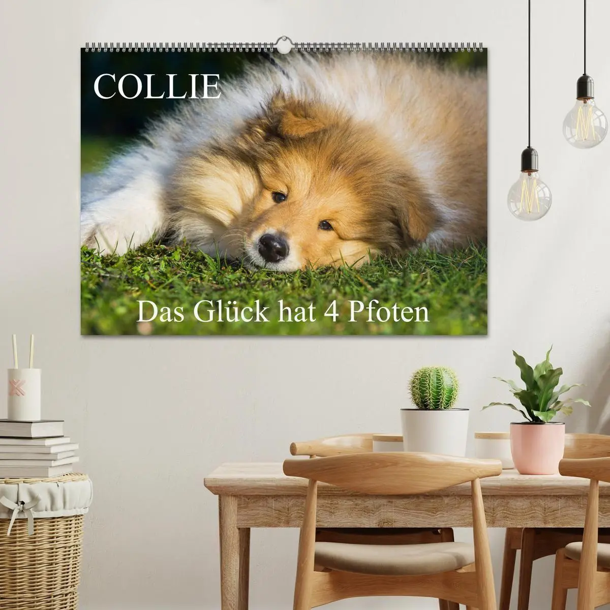 Bild: 9783569735309 | Collie - Das Glück hat 4 Pfoten (Wandkalender 2027 DIN A2 quer),...