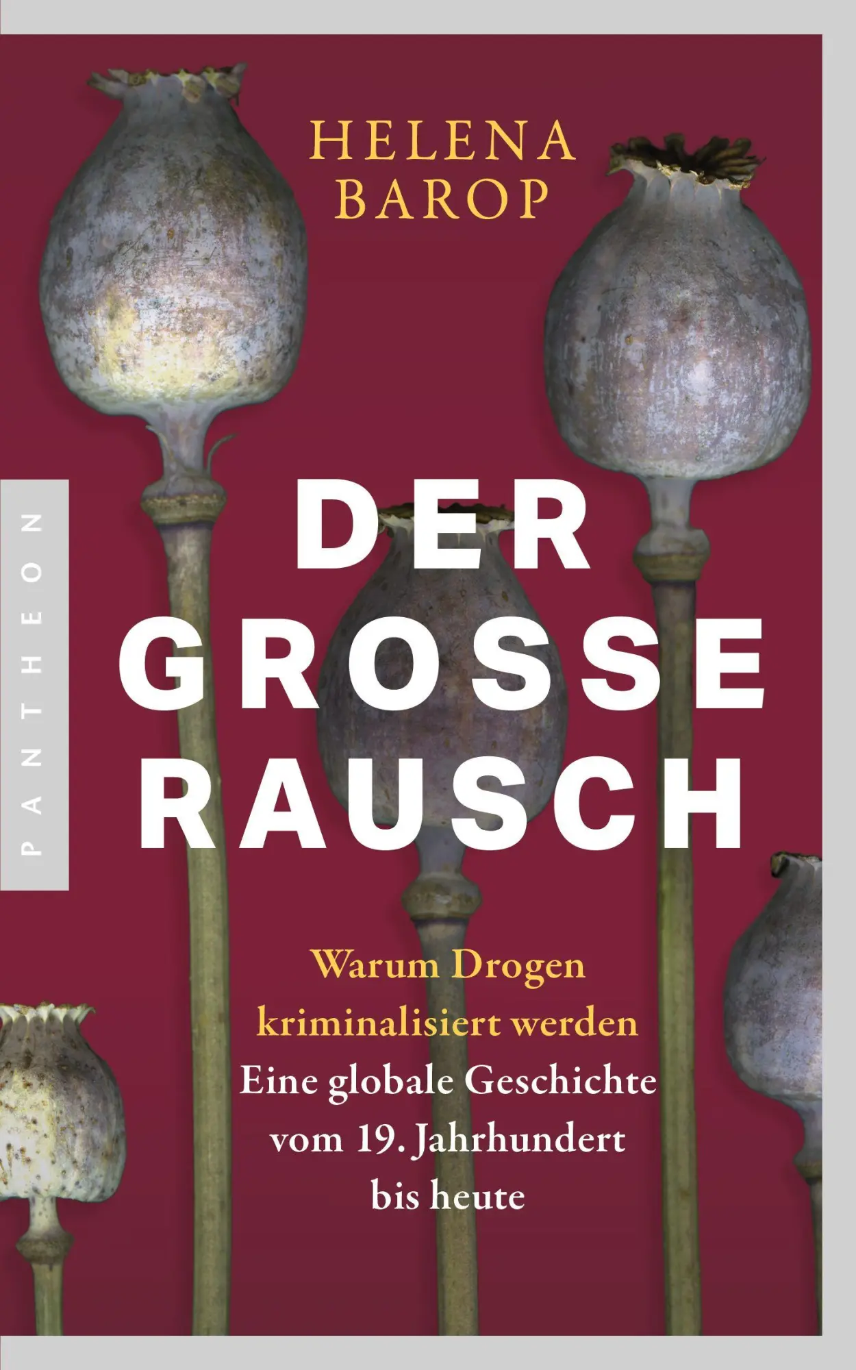 Cover: 9783570555309 | Der große Rausch | Helena Barop | Taschenbuch | 304 S. | Deutsch