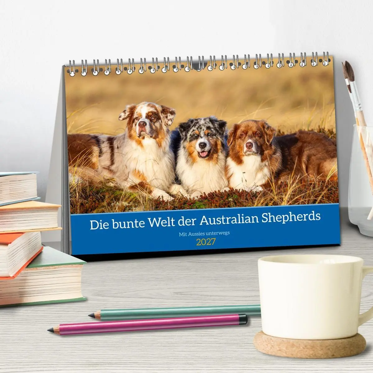 Bild: 9783594175309 | Mit Aussies unterwegs - Die bunte Welt der Australian Shepherds...