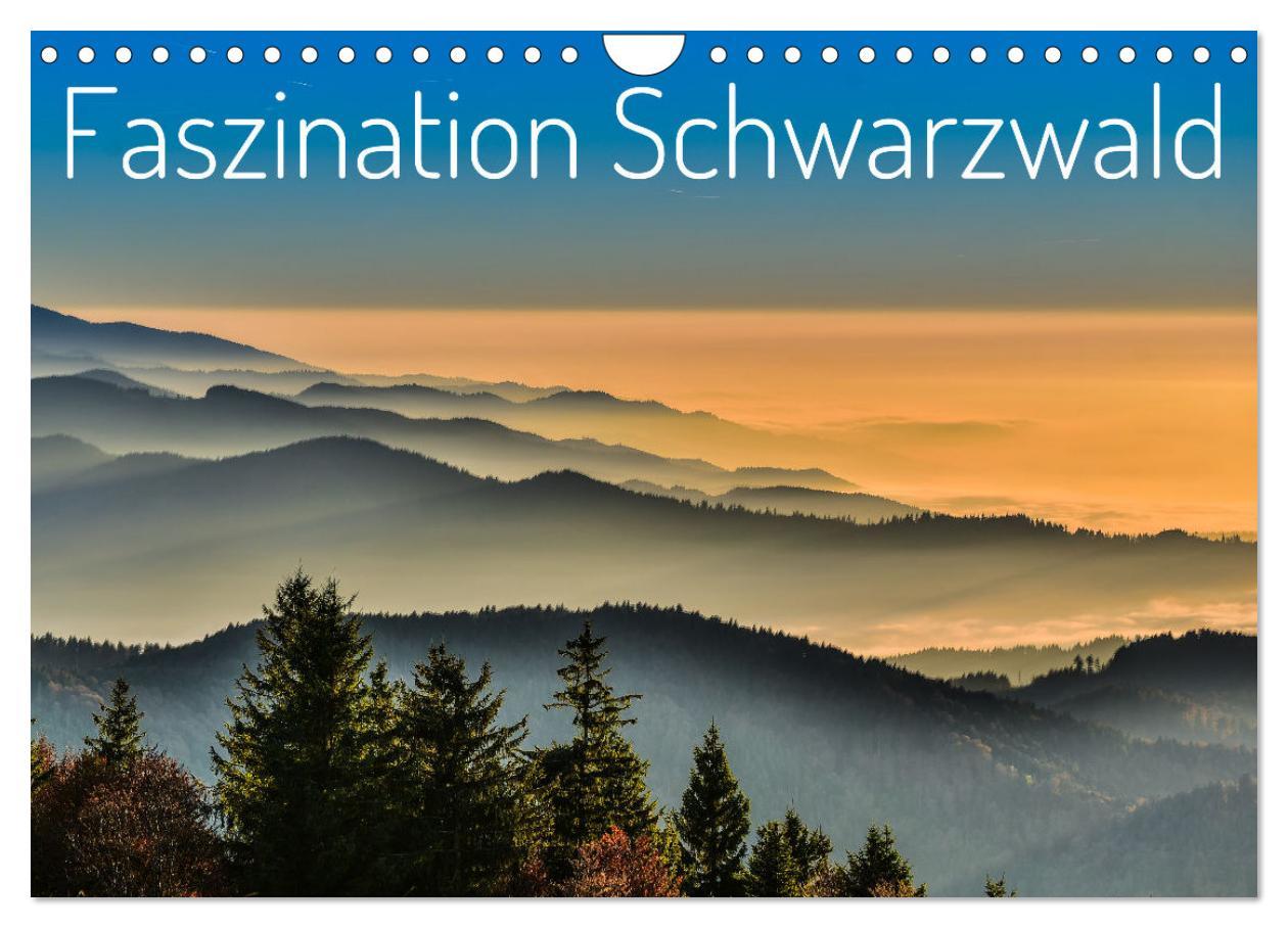 Cover: 9783457235409 | Faszination Schwarzwald (Wandkalender 2025 DIN A4 quer), CALVENDO...