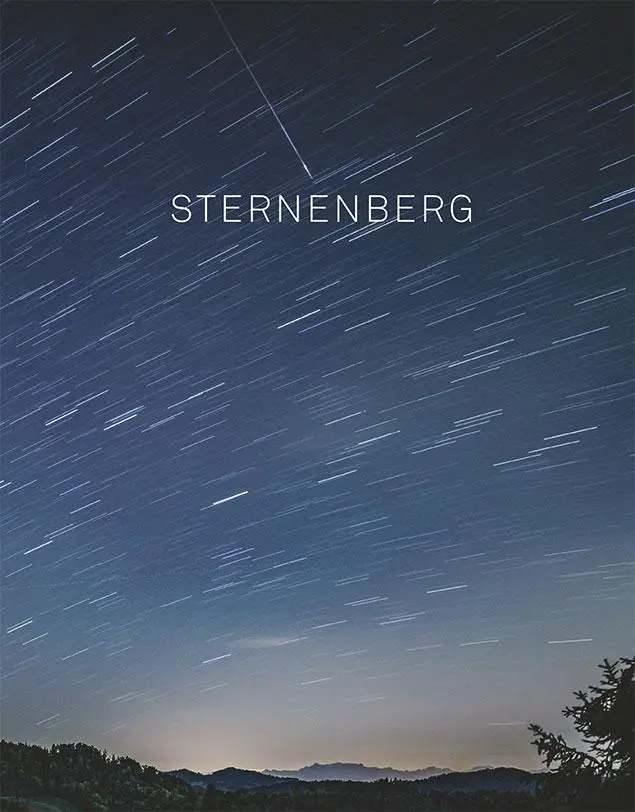 Cover: 9783034015509 | Sternenberg | Ein Ort und seine Geschichte | Brühlmeier | Buch | 2019