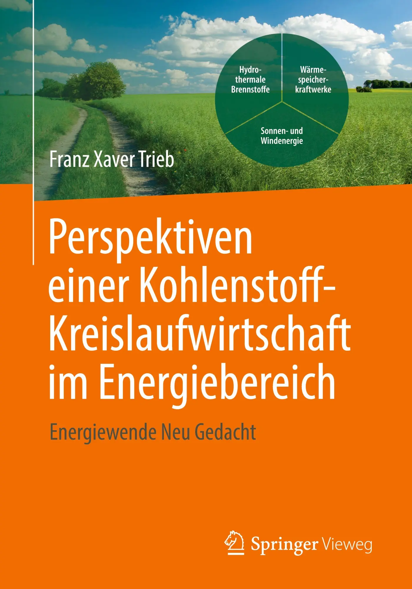 Cover: 9783658505509 | Perspektiven einer Kohlenstoffkreislaufwirtschaft im Energiebereich