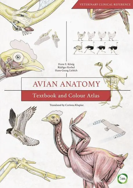 Cover: 9781910455609 | Avian Anatomy 2nd Edition | Textbook and Colour Atlas | Konig | Buch