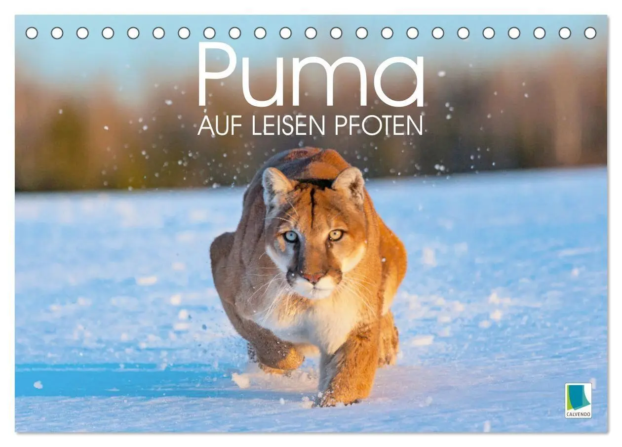 Cover: 9783569185609 | Puma: Auf leisen Pfoten (Tischkalender 2027 DIN A5 quer), CALVENDO...