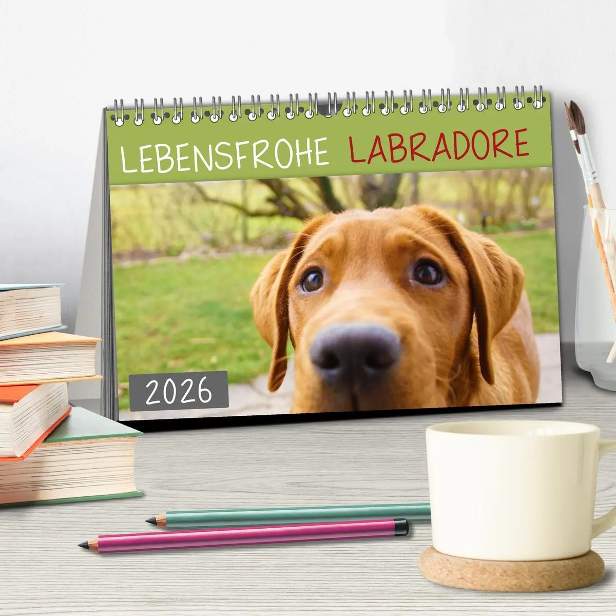 Bild: 9783457685709 | Lebensfrohe Labradore (Tischkalender 2026 DIN A5 quer), CALVENDO...