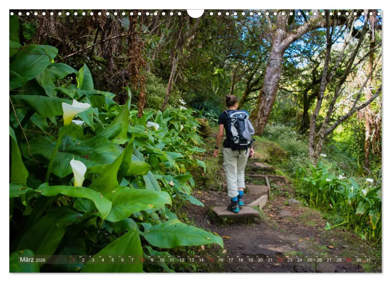 Bild: 9783457755709 | La Réunion - Impressionen von Rolf Dietz (Wandkalender 2026 DIN A3...