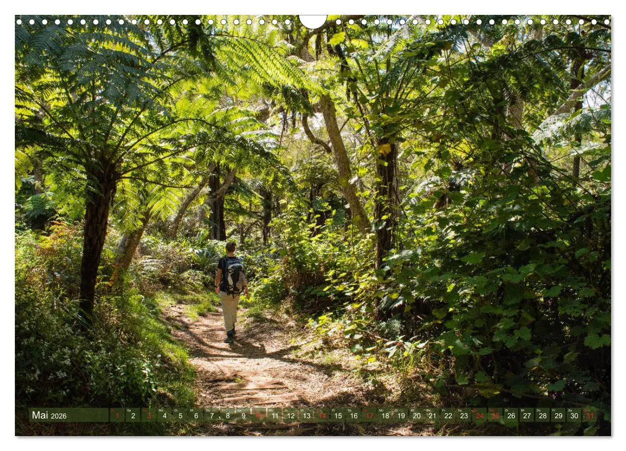 Bild: 9783457755709 | La Réunion - Impressionen von Rolf Dietz (Wandkalender 2026 DIN A3...
