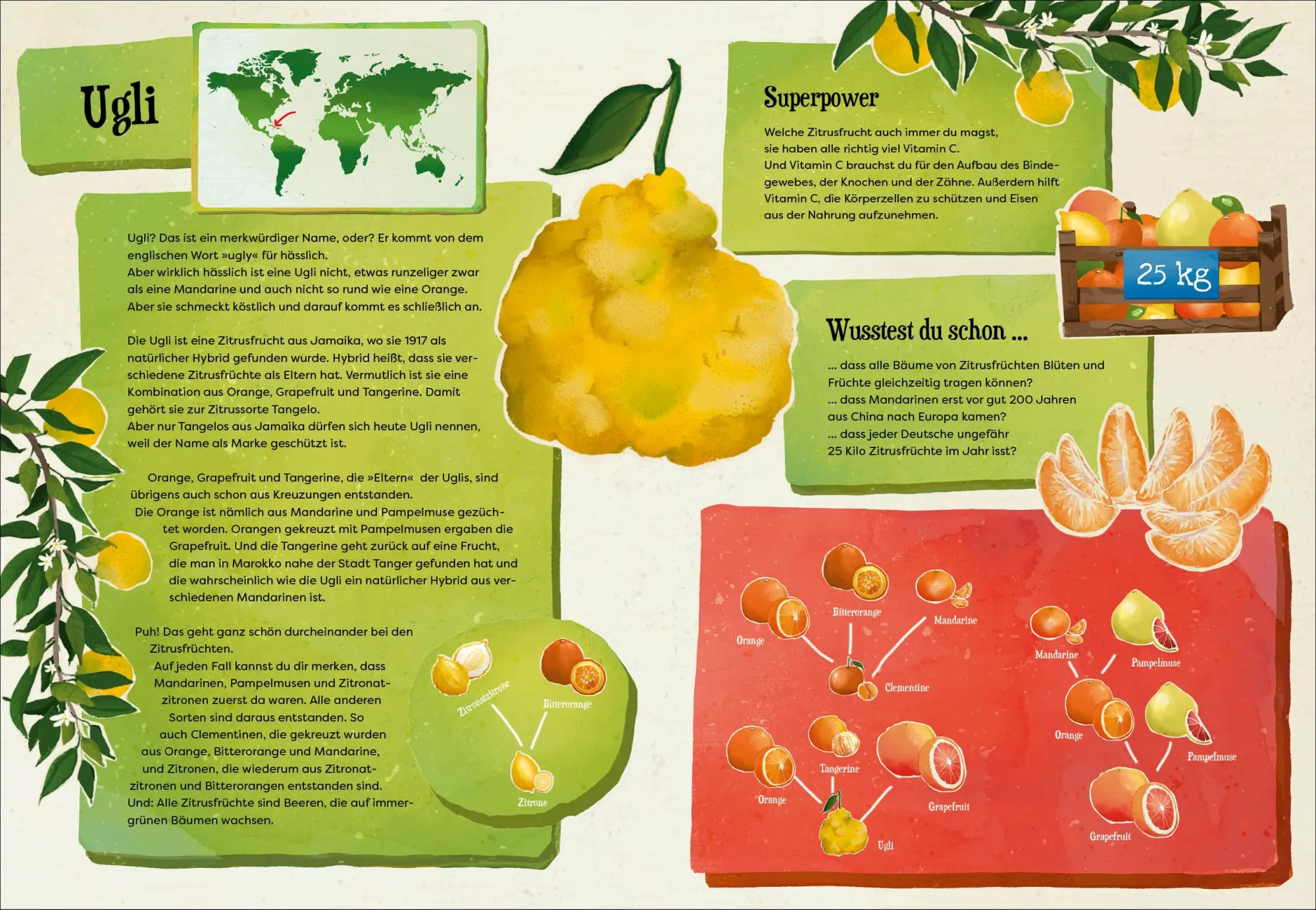 Bild: 9783423765909 | Weißt du, wo der Pfeffer wächst? - Erstaunliches Wissen von Ananas...