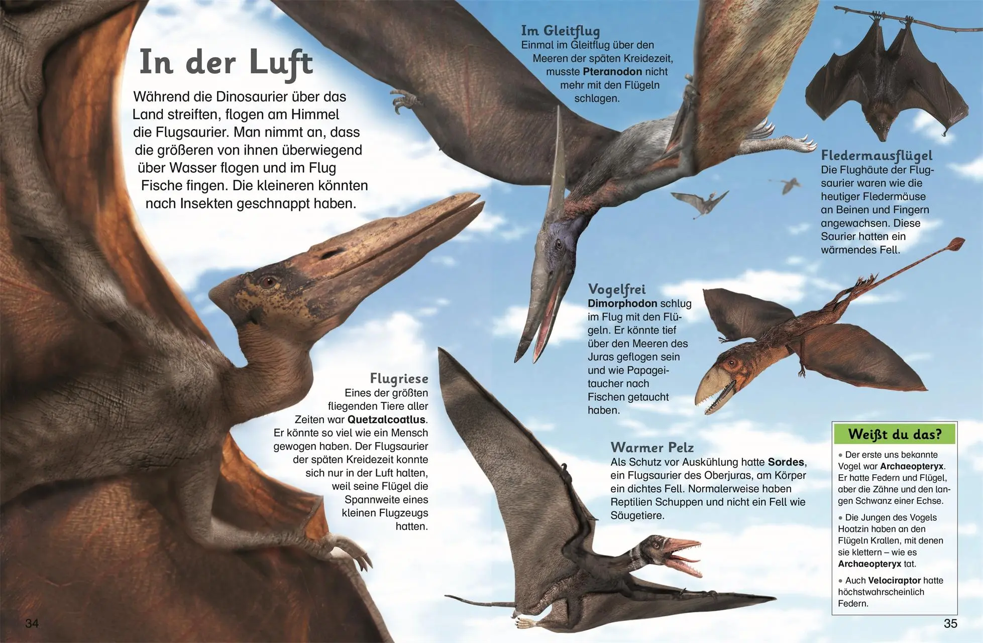 Bild: 9783831025909 | memo Kids. Dinosaurier | Riesen der Urzeit | DK Verlag - Kids | Buch