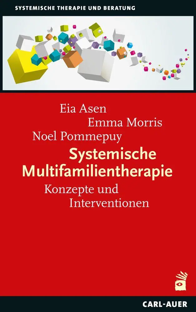 Cover: 9783849705909 | Systemische Multifamilientherapie | Konzepte und Interventionen | Buch