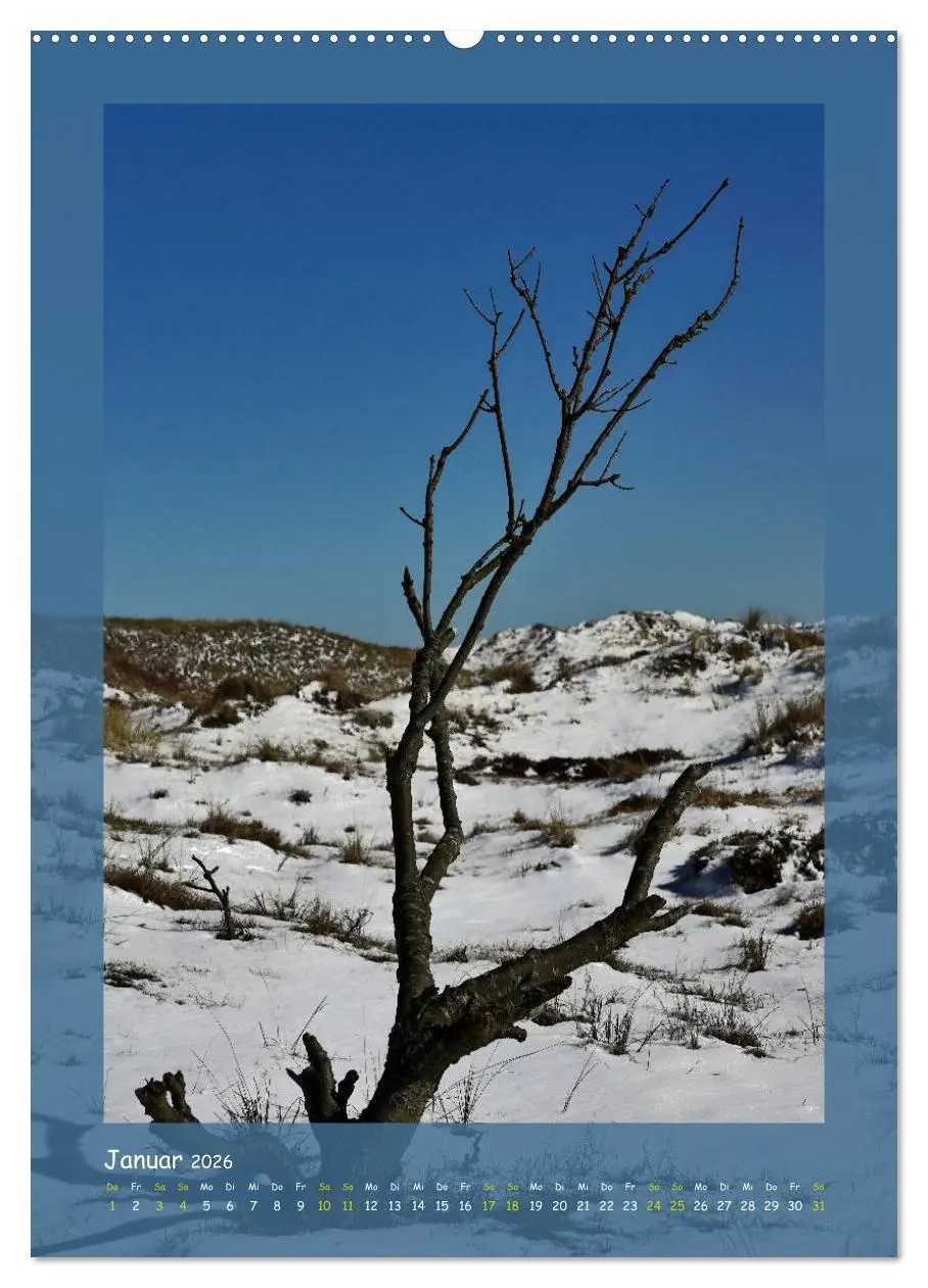 Bild: 9783516406009 | Texel sehen und verlieben (Wandkalender 2026 DIN A2 hoch), CALVENDO...