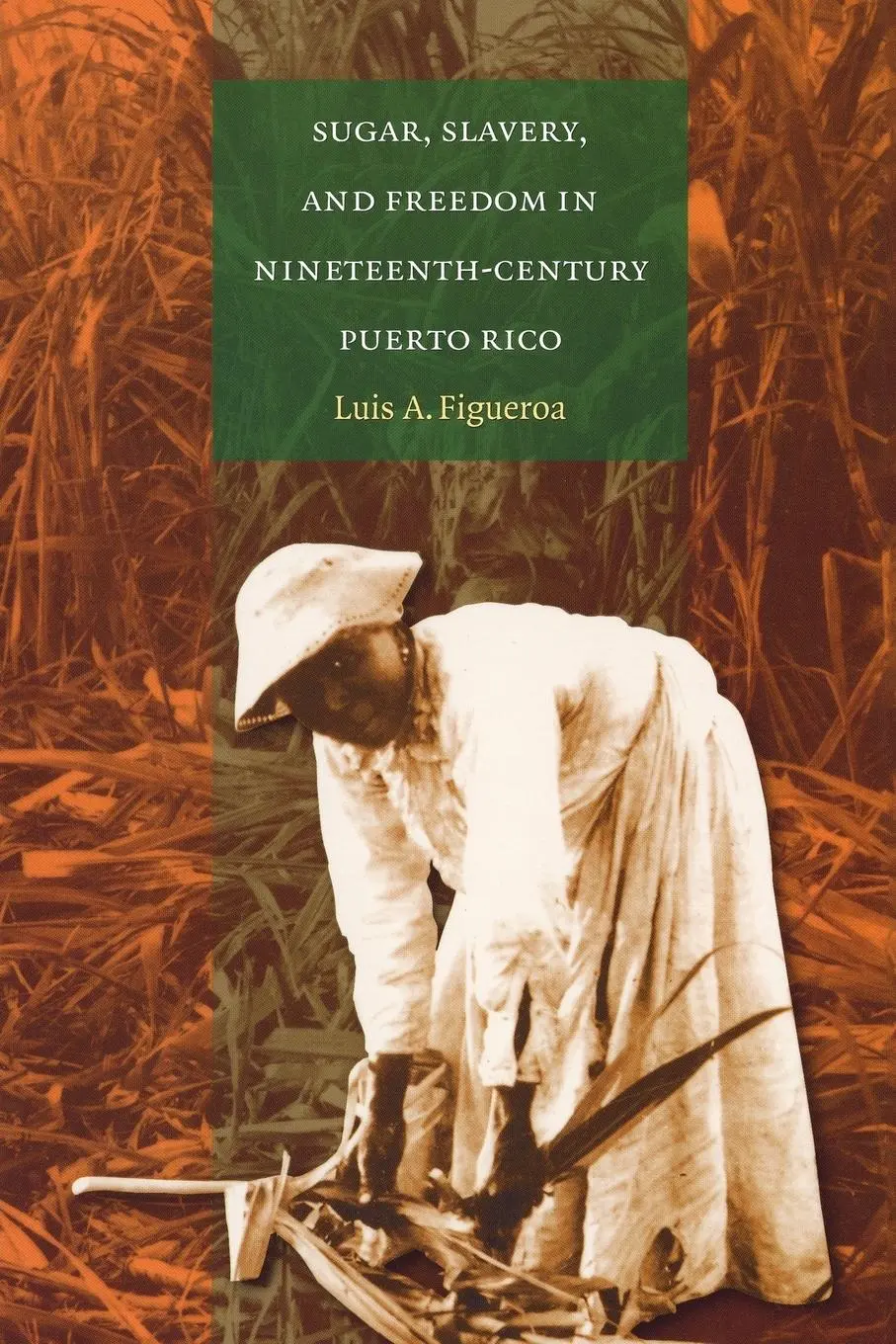 Cover: 9780807856109 | Sugar, Slavery, and Freedom in Nineteenth-Century Puerto Rico | Buch