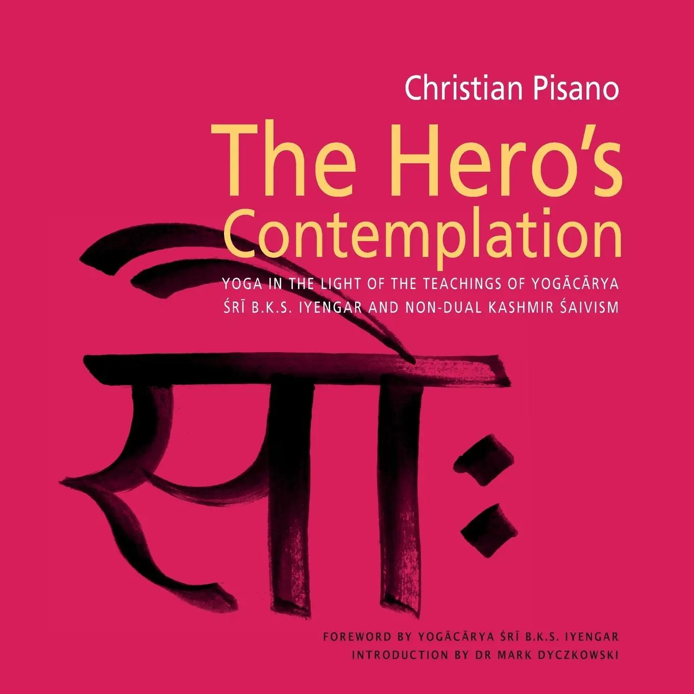 Cover: 9781906756109 | Hero's Contemplation | Christian Pisano | Taschenbuch | Englisch