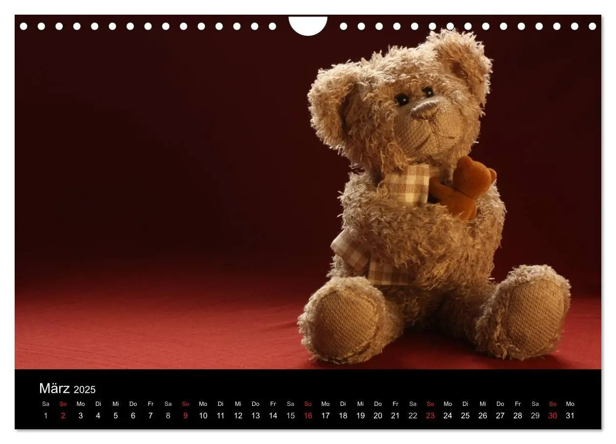 Bild: 9783435696109 | Herr Nopf ist da! (Wandkalender 2025 DIN A4 quer), CALVENDO...