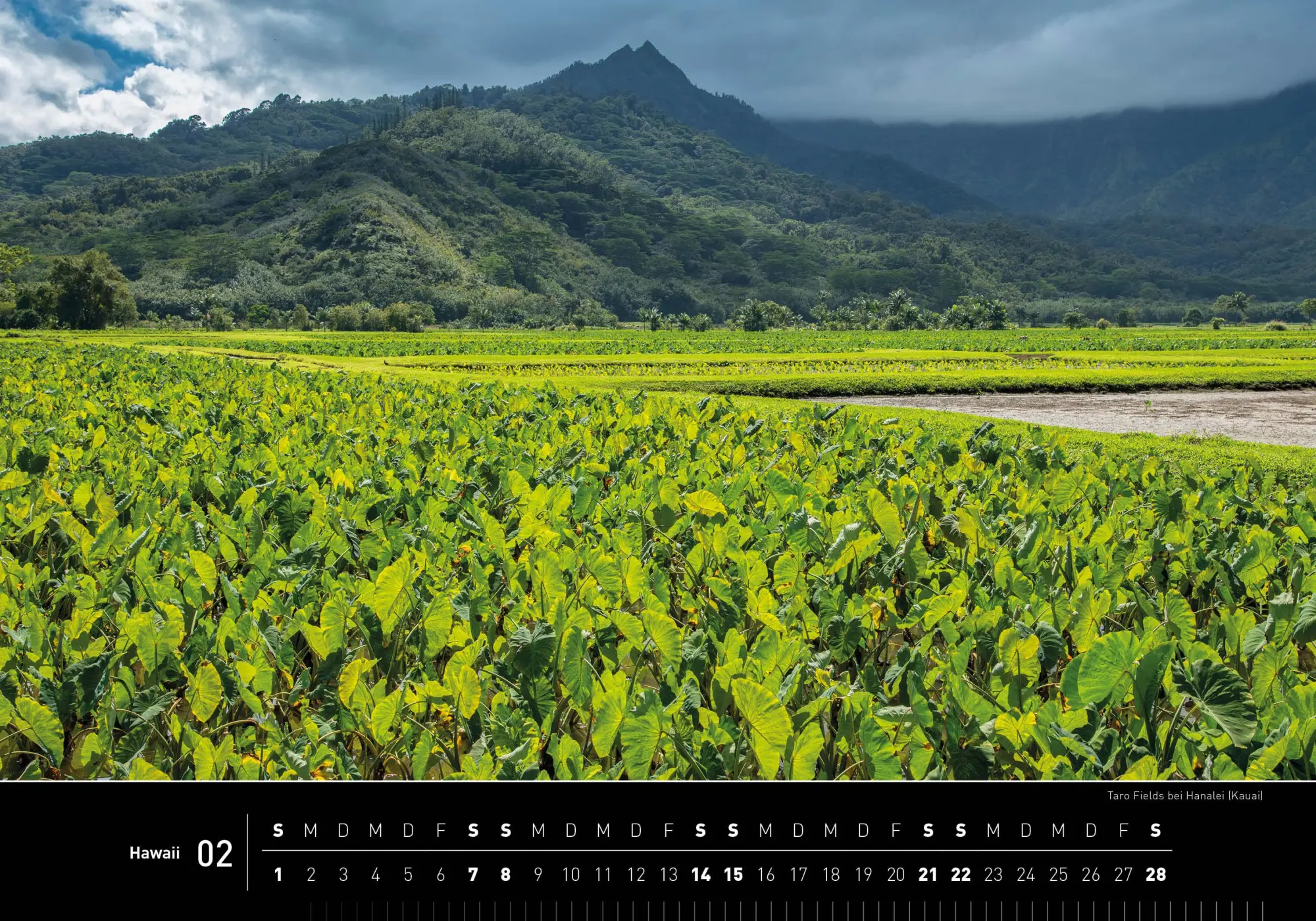 Bild: 9783968556109 | Hawaii Premiumkalender 2026 | Christian Heeb | Kalender | 14 S. | 2026