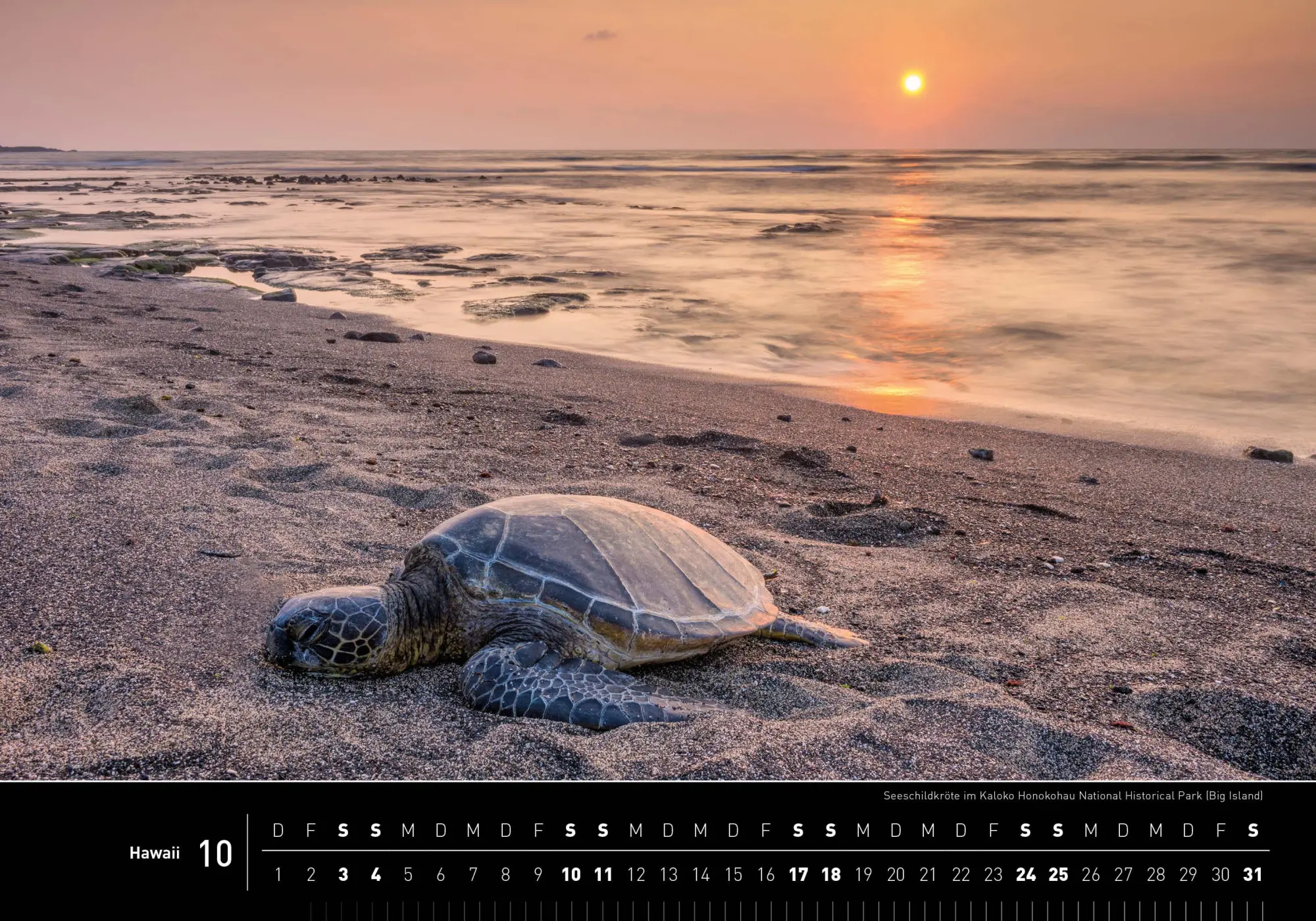 Bild: 9783968556109 | Hawaii Premiumkalender 2026 | Christian Heeb | Kalender | 14 S. | 2026