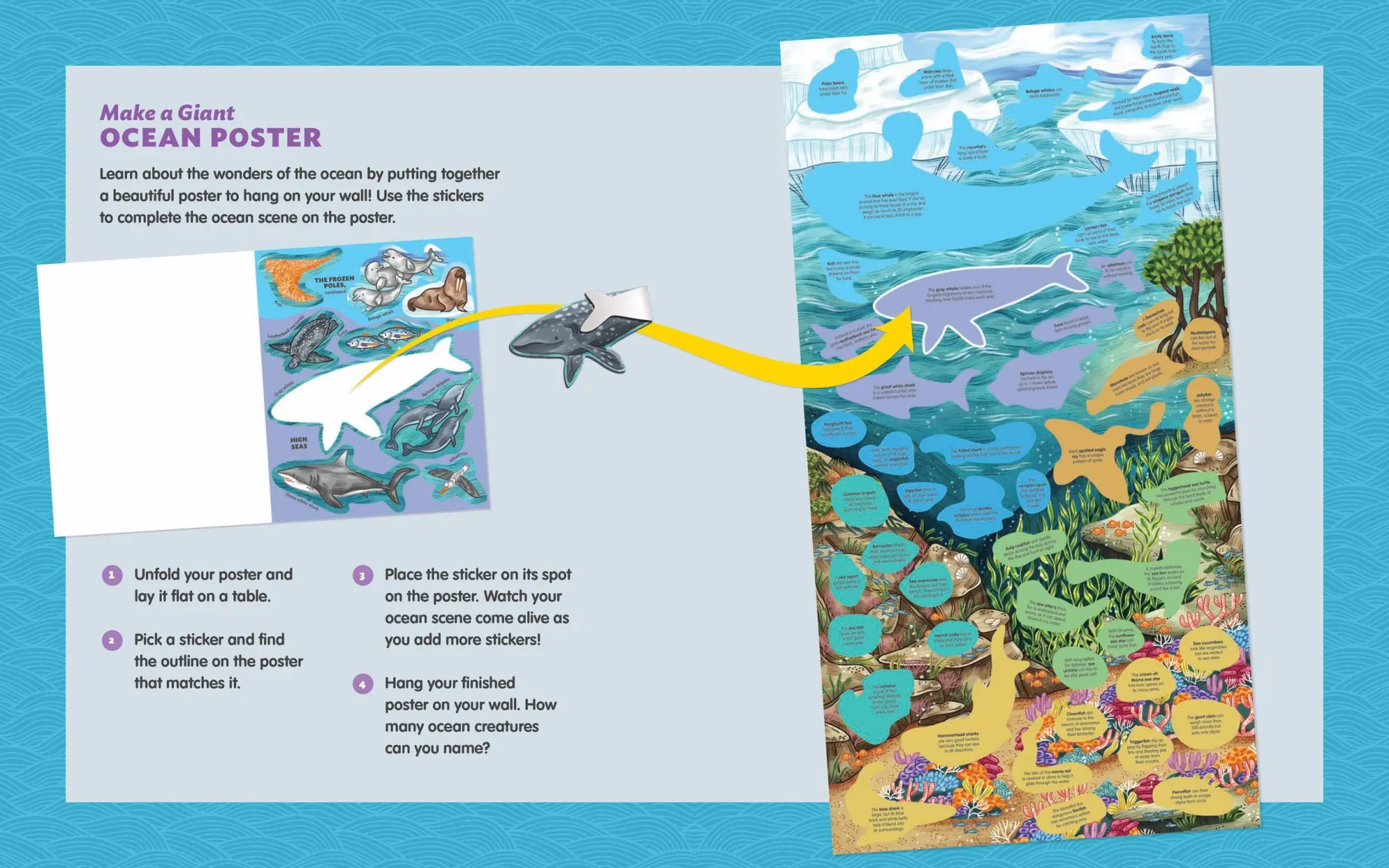 Bild: 9781635866209 | Creatures of the Ocean Sticker Poster | Fiona Ocean Simmance (u. a.)