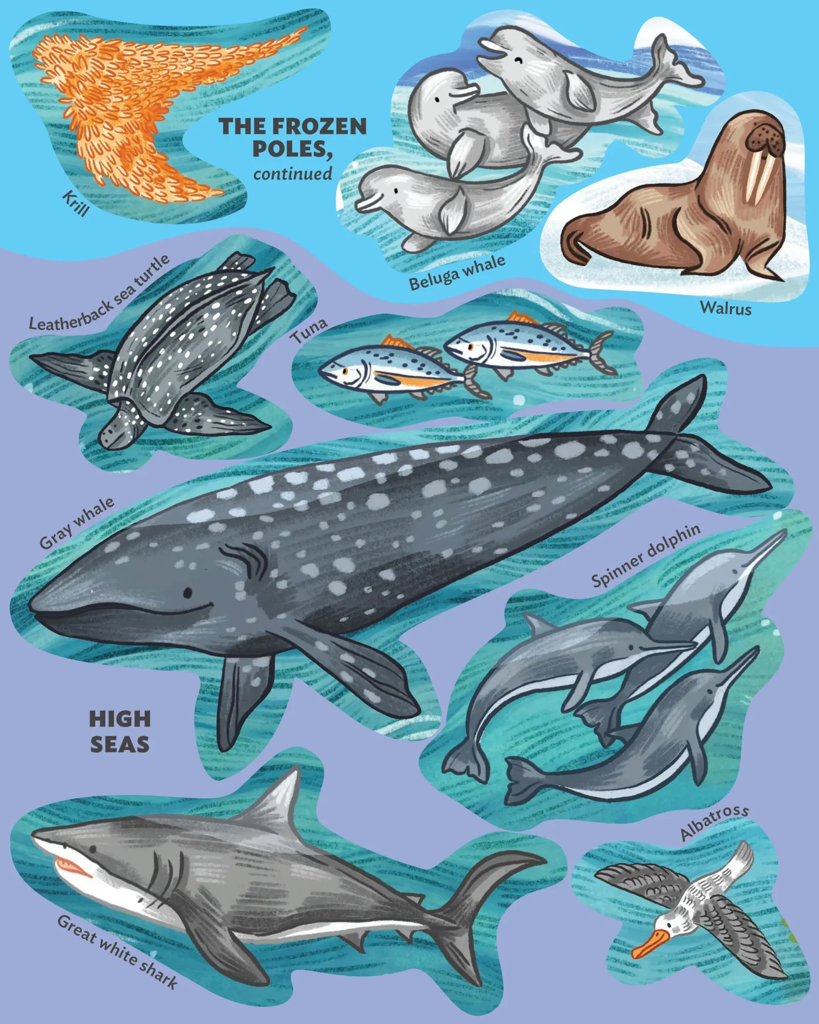 Bild: 9781635866209 | Creatures of the Ocean Sticker Poster | Fiona Ocean Simmance (u. a.)