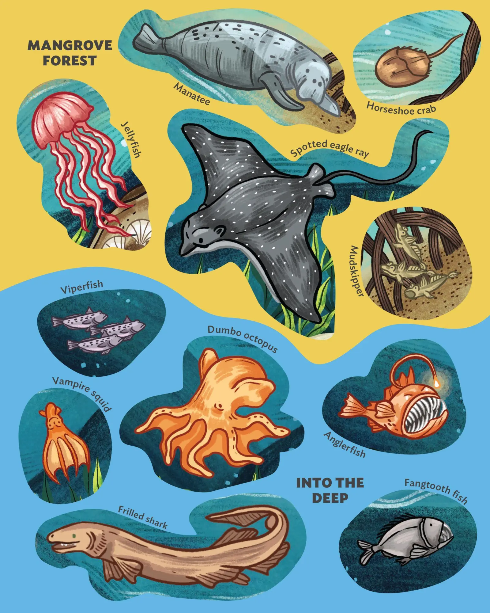 Bild: 9781635866209 | Creatures of the Ocean Sticker Poster | Fiona Ocean Simmance (u. a.)